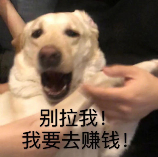 图片16.png